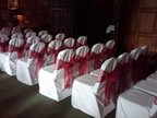 Ostrich Feather Hire UK